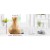 Devanti Aroma Diffuser 400ml Light Wood Ultrasonic 4-in-1 Humidifier Purifier Night Light Remote 7-Colour LED Devanti Aroma Diffuser 400ml Light Wood Ultrasonic 4-in-1 Humidifier Purifier Night Light Remote 7-Colour LED
