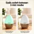 Devanti Ultrasonic Aroma Diffuser - 130ml, 7-Colour LED, Whisper-Quiet, Iron Look, ABS/PP, 4-in-1 Aromatherapy Hum Devanti Ultrasonic Aroma Diffuser - 130ml, 7-Colour LED, Whisper-Quiet, Iron Look, ABS/PP, 4-in-1 Aromatherapy Hum