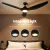 Devanti 64 Inch Ceiling Fan Black DC Motor with LED Light and Remote, 5 Speeds, Reverse Cycle, Indoor Outdoor