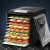 Devanti 9-Tray Food Dehydrator, Stainless Steel, LCD Control, Adjustable Timer & Thermostat, Black, 600-700W Power