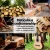 Alpha 39 Inch Classical Guitar, Wooden Body, Natural Color, Nylon Strings, Beginner Gift, Durable Carry Bag Included
