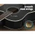 Alpha Professional Acoustic Guitar, Laminated Linden, 41 Inch, Black, 5-Band EQ, Electric Output, Cutaway, w/ Stand