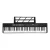 Alpha 61-Key Foldable Electronic Piano Keyboard, Touch-Sensitive, Black, Bluetooth, MIDI-USB, w/ Mic & Sustain Pedal