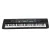 Alpha 61-Key Black Digital Piano Keyboard for Kids with LED Display, 100 Rhythms, 100 Tones, and Microphone Included