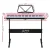 Alpha 61-Key Electronic Piano Keyboard, Digital Electric, Pink, w/ Stand & Lighted Keys, Music Training Features