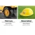 Keezi Kids Ride On Excavator Bulldozer – Fun Construction Play, Non-Toxic Plastic, Safety Helmet, High Backrest, 80cm