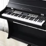 Musical Keyboards