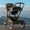 Strollers Strollers