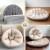 Artiss 4-in-1 Foldable Floor Lounge Sofa Bed Chair, Washable Beige, Versatile & Stylish, 1-Year Warranty