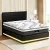 Artiss RGB LED Queen Bed Frame & 32cm Giselle Mattress Set - PVC Leather, Orthopaedic Support, Smart Lighting