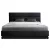Artiss LUMI Queen Bed Frame - Black PVC Leather, LED Lights, Gas Lift Storage, High Density Foam, 16 Colours Artiss LUMI Queen Bed Frame - Black PVC Leather, LED Lights, Gas Lift Storage, High Density Foam, 16 Colours