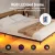 Artiss Double Bed Frame with LED Lights, Sturdy Metal Base, Silent Design, 300KG Capacity, Tool-Free Assembly