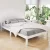 Artiss LEXI King Single Bed Frame, Solid Pine Wood, White, Sturdy Design with Storage Option, Fits Aus Mattresses