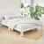 Artiss Queen Size Bed Frame, Solid Pine Wood, White, 211x161cm - Stylish, Durable, Extra Storage, Non-Toxic Finish