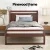 Artiss Witton King Single Bed Frame - Solid Pinewood, Walnut Finish, Rustic Design, Easy Assembly, 1-Year Warranty