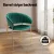 Artiss Diala Dining Chairs Set of 2 - Green Velvet Armchairs with Metal Frame, 77cm Height, Elegant and Durable Design Artiss Diala Dining Chairs Set of 2 - Green Velvet Armchairs with Metal Frame, 77cm Height, Elegant and Durable Design