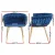 Artiss Set of 2 Velvet Dining Chairs, Hand-Woven Backrest, Armrest, Solid Steel Legs, Blue, 60x50x69cm
