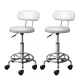 Artiss 2x White Salon Swivel Stools - PU Leather, Adjustable Height, Chrome Base, 360° Rotatable, Comfort Backrest