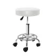 Artiss White Salon Stool: Stylish & Comfortable Round Swivel Chair with Adjustable Height & 360° Rotation