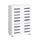 Artiss Alster 5-Tier Shoe Rack Cabinet, White, 20 Pair Capacity - Adjustable Shelves, Ventilated Doors, 60x33.5x87cm