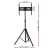 Artiss TV Tripod Stand for 32"-70" Screens, Adjustable Height, Steel Frame, 360° Swivel, Black, 45kg Capacity