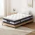 Giselle Bedding 30cm King Single Mattress, Lotus Series - 7-Zone Pocket Spring, Belgium Knit, Medium Firm