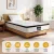 Giselle Bedding Verve Series 30cm Euro Top King Single Mattress, Medium Firm, Pocket Spring, High Density Foam
