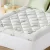 Giselle Bedding Bamboo Queen Mattress Topper - 5cm Pillowtop, 1000GSM Soft Support, Breathable, Anti-Allergy Giselle Bedding Bamboo Queen Mattress Topper - 5cm Pillowtop, 1000GSM Soft Support, Breathable, Anti-Allergy