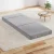 Giselle Bedding Foldable Foam Mattress, Light Grey - Velvet Fabric, Washable Cover, 180x70x12cm, Chair to Bed Use