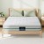20cm Giselle Bedding Queen Mattress Green Tea Foam Euro Top Bamboo Cover Medium Firm Support Hypoallergenic