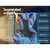 Giselle Bedding 22cm Medium Firm Queen Mattress with 5-Zone Pocket Springs & Hypoallergenic Fabric for Ultimate Comfort