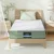 Giselle Bedding LEAF Series 25cm Single Memory Foam Mattress - Bamboo Cover, Cool Gel, 7-Zone Charcoal Support
