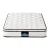 Giselle Bedding Elysium 22cm Single Mattress - Medium-Firm Euro Top, Velvet Fabric, Pocket Spring, Hypo-Allergenic