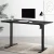 Artiss Motorised Standing Desk, Black, 120cm, Adjustable Height, Eco-Friendly, Quiet Operation, Home Office Solution
