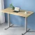 Artiss Motorised Standing Desk, Particle Board, 120cm, White Oak, Height Adjustable, Home Office, Ergonomic