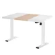 Artiss 120CM White Motorised Standing Desk with Dual-Motor, Adjustable Metal Frame & Smooth Glossy Desktop