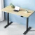 Artiss Motorised Standing Desk, Dual Motor, Oak Finish, 120cm, Adjustable Height, Ergonomic Workspace Solution