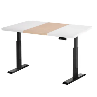 Artiss Motorised Dual Motor Standing Desk - Height Adjustable, 120cm Frame, Memory Settings, Eco-Friendly Artiss Motorised Dual Motor Standing Desk - Height Adjustable, 120cm Frame, Memory Settings, Eco-Friendly