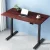 Artiss Motorised Standing Desk, Dual Motor, Walnut Finish, 120cm, Adjustable Height, Ergonomic Workspace Solution