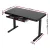Artiss 120CM Motorised Standing Desk - Tempered Glass Top, Electric Height Adjustable, Black Frame, USB Charging