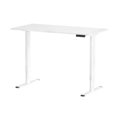 Artiss 120CM Electric Standing Desk - Dual-Motor, Adjustable Height, Quiet Operation, Ideal for Home & Office