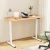 Artiss 120CM Electric Standing Desk, Height Adjustable 73-118CM, Single Motor, Steel Frame, Home Office Computer Desk