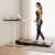 Artiss 120cm Automatic Standing Desk with Motorised Height Adjustment and 400mm Electric Walking Pad, Black