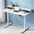 Artiss Electric Standing Desk 120cm Dual Motor Office Table with Shelf, Drawer, Digital Panel, White, Adjustable Height