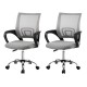 Artiss 2x Cody Grey Mesh Office Chair - Mid Back, Lumbar Support, 360° Swivel, Chrome Base, Height Adjustable Artiss 2x Cody Grey Mesh Office Chair - Mid Back, Lumbar Support, 360° Swivel, Chrome Base, Height Adjustable