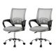 Artiss 2x Cody Grey Mesh Office Chair - Mid Back, Lumbar Support, 360° Swivel, Chrome Base, Height Adjustable