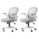 Artiss Galene 2x Grey Mesh Office Chair - Mid Back, Adjustable Height, Flip-Up Armrests, 360° Swivel, Breathable Comfort