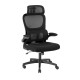 Artiss Ergonomic Office Chair Mesh Black, High-Back, Lumbar Support, Adjustable Headrest, Flip-Up Armrests, 8cm Height