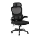 Artiss Ergonomic Office Chair Mesh Black, High-Back, Lumbar Support, Adjustable Headrest, Flip-Up Armrests, 8cm Height Artiss Ergonomic Office Chair Mesh Black, High-Back, Lumbar Support, Adjustable Headrest, Flip-Up Armrests, 8cm Height