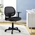 Artiss Mesh Office Chair Black Mid Back Ergonomic Desk Chair with Lumbar Support, Armrests, 50x48cm, Adjustable Height Artiss Mesh Office Chair Black Mid Back Ergonomic Desk Chair with Lumbar Support, Armrests, 50x48cm, Adjustable Height